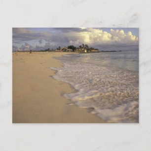 Caribbean, St. Martin (St. Maarten). Maho Bay Postcard