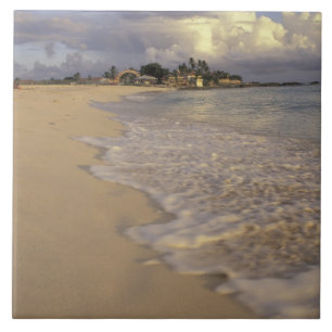 Caribbean, St. Martin (St. Maarten). Maho Bay Tile
