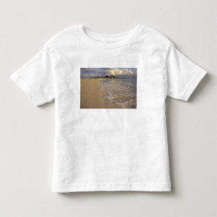 Caribbean, St. Martin (St. Maarten). Maho Bay Toddler T-Shirt