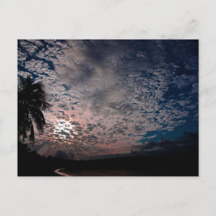 Caribbean Sunrise 01 Postcard