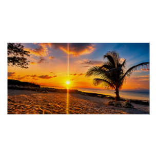 Caribbean Sunset Palm Glossy Poster