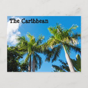 Caribbean Trees Postcard