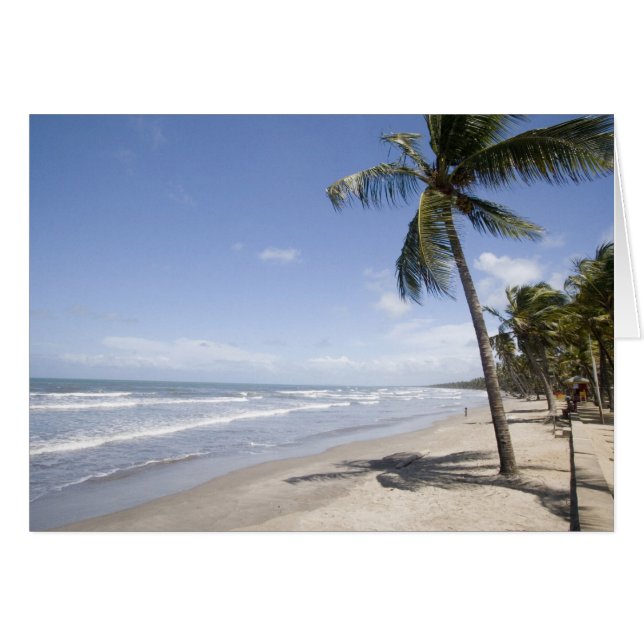 Caribbean - Trinidad - Manzanilla Beach on 2 (Front Horizontal)