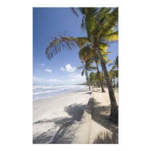 Caribbean - Trinidad - Manzanilla Beach on Photo Print