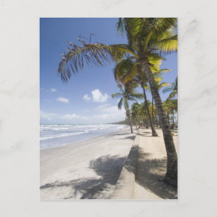 Caribbean - Trinidad - Manzanilla Beach on Postcard