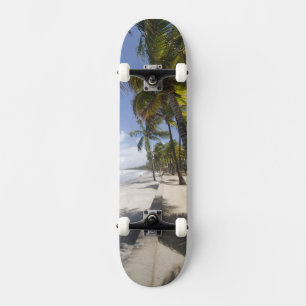 Caribbean - Trinidad - Manzanilla Beach on Skateboard