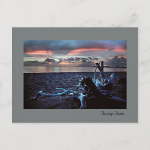 Caribbean Twilight Postcard