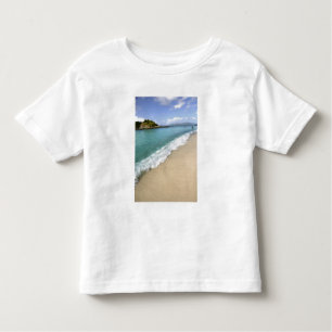 Caribbean, U.S. Virgin Islands, St. John, Toddler T-Shirt