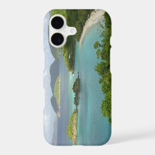 Caribbean, U.S. Virgin Islands, St. John, Trunk 2