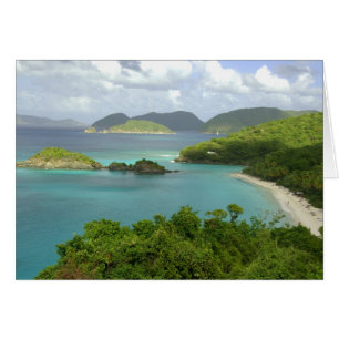 Caribbean, U.S. Virgin Islands, St. John, Trunk 2