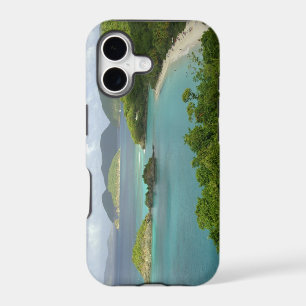 Caribbean, U.S. Virgin Islands, St. John, Trunk 2