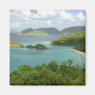 Caribbean, U.S. Virgin Islands, St. John, Trunk 2 Magnet