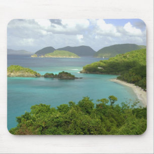 Caribbean, U.S. Virgin Islands, St. John, Trunk 2 Mouse Pad