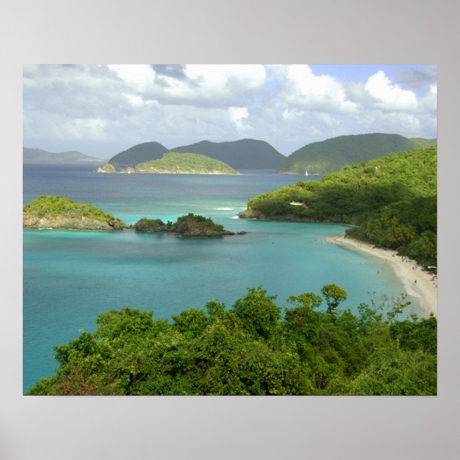 Caribbean, U.S. Virgin Islands, St. John, Trunk 2 Poster (Front)