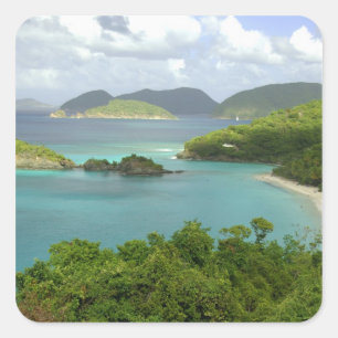 Caribbean, U.S. Virgin Islands, St. John, Trunk 2 Square Sticker