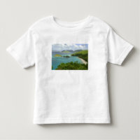 Caribbean, U.S. Virgin Islands, St. John, Trunk 2