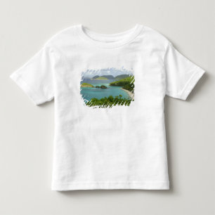 Caribbean, U.S. Virgin Islands, St. John, Trunk 2 Toddler T-Shirt