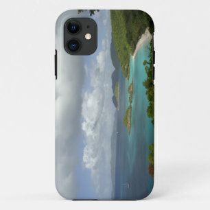 Caribbean, U.S. Virgin Islands, St. John, Trunk 3 iPhone 11 Case