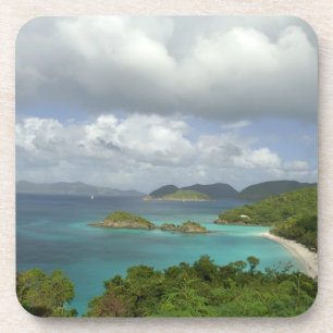 Caribbean, U.S. Virgin Islands, St. John, Trunk 3 Coaster