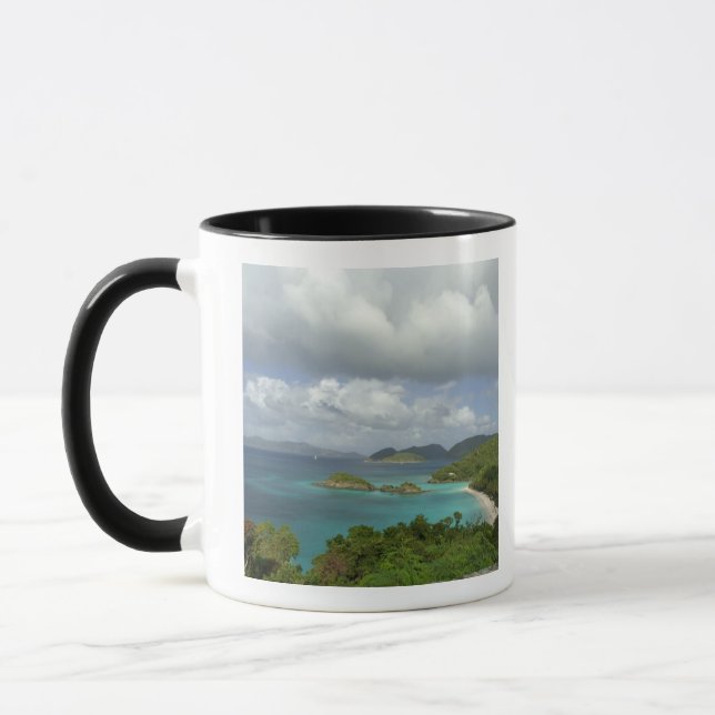 Caribbean, U.S. Virgin Islands, St. John, Trunk 3 Mug (Left)