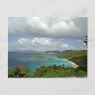 Caribbean, U.S. Virgin Islands, St. John, Trunk 3 Postcard