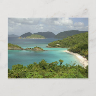 Caribbean, U.S. Virgin Islands, St. John, Trunk Postcard