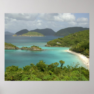 Caribbean, U.S. Virgin Islands, St. John, Trunk Poster