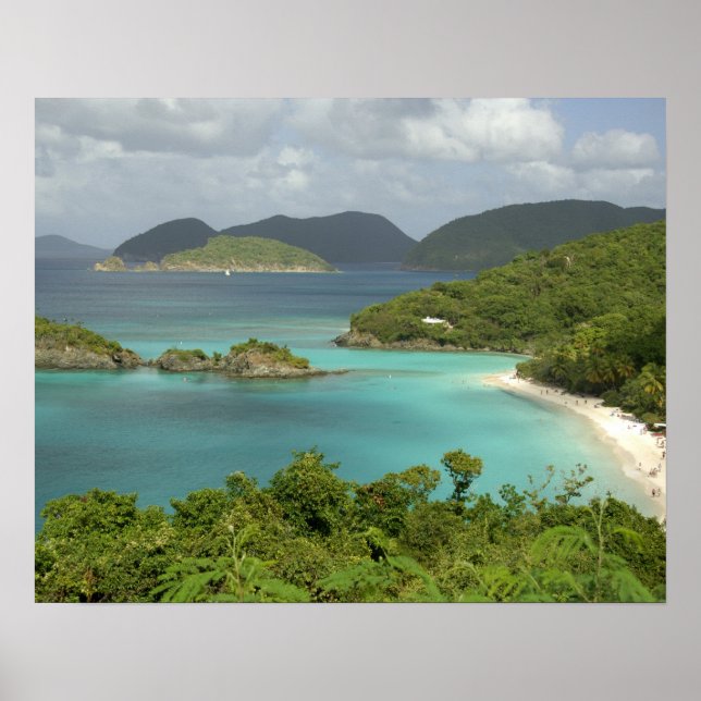Caribbean, U.S. Virgin Islands, St. John, Trunk Poster (Front)