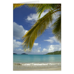 Caribbean, U.S. Virgin Islands, St.Thomas,