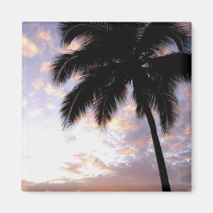 Caribbean, U.S. Virgin Islands, St.Thomas, 3 Magnet