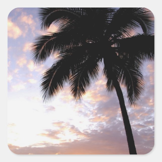 Caribbean, U.S. Virgin Islands, St.Thomas, 3 Square Sticker (Front)
