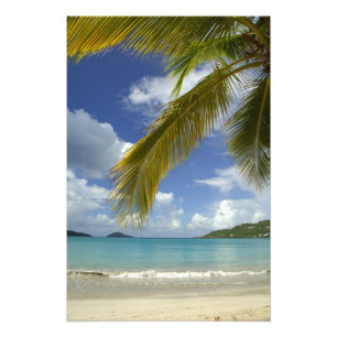Caribbean, U.S. Virgin Islands, St.Thomas, 4 Photo Print