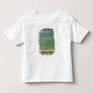 Caribbean, U.S. Virgin Islands, St.Thomas, 4 Toddler T-Shirt