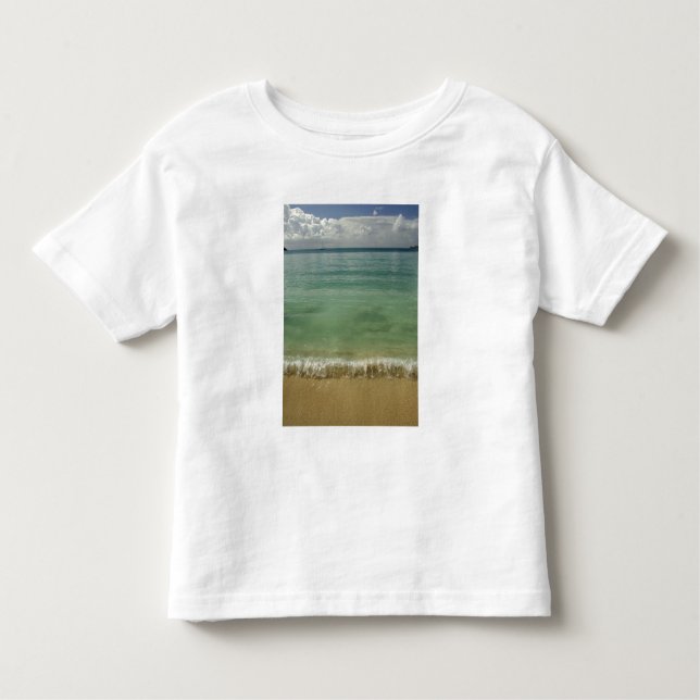 Caribbean, U.S. Virgin Islands, St.Thomas, 4 Toddler T-Shirt (Front)