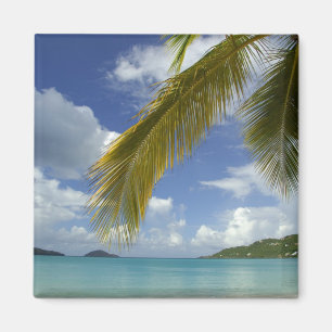 Caribbean, U.S. Virgin Islands, St.Thomas, Magnet