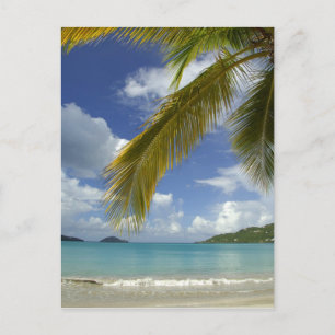 Caribbean, U.S. Virgin Islands, St.Thomas, Postcard