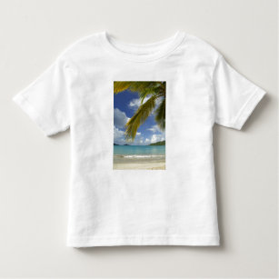 Caribbean, U.S. Virgin Islands, St.Thomas, Toddler T-Shirt