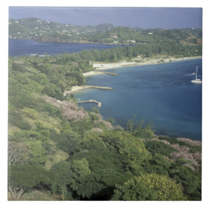 Caribbean, West Indies, St. Lucia. View of Tile
