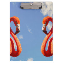 Caribbeans Flamingo pair