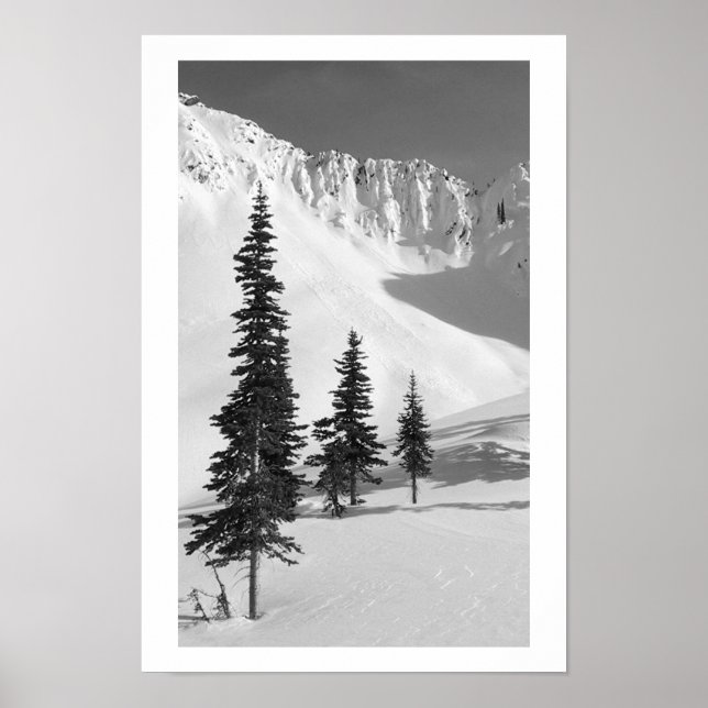 Cariboos: Small Slide Poster (Front)