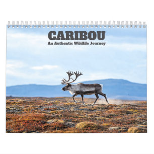 Caribou 2027 Wall Calendar
