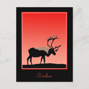 Caribou at Sunset  - Original Wildlife Art Postcard