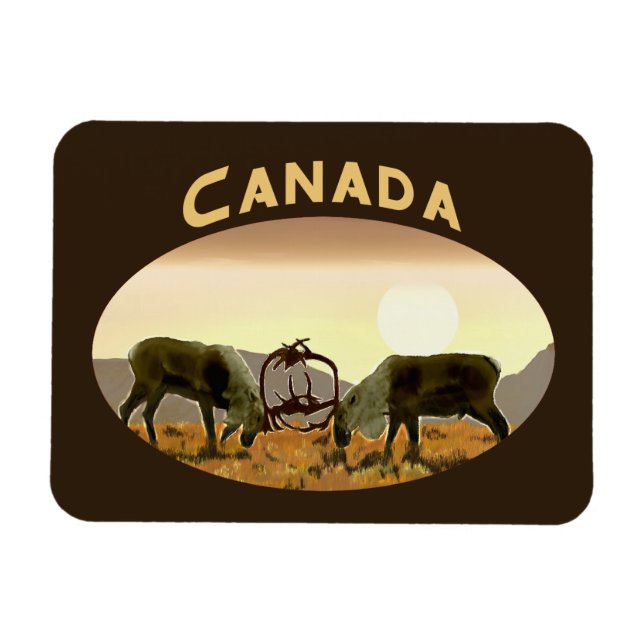 Caribou Duel - Canada Magnet (Horizontal)