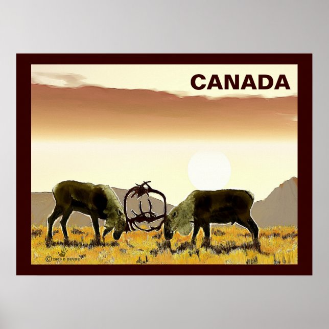 Caribou Duel - Canada Poster (Front)