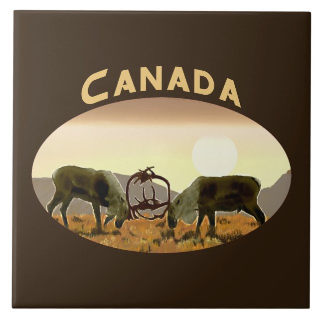 Caribou Duel - Canada Tile (Front)