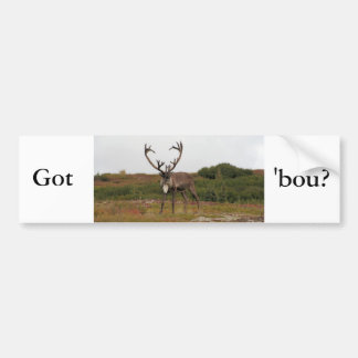 Caribou In Denali Bumper Sticker