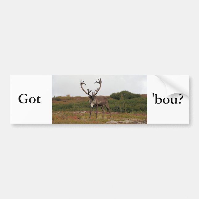 Caribou In Denali Bumper Sticker (Front)