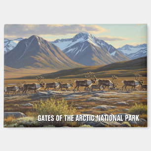Caribou in Gates of the Arctic National Park  Magnet