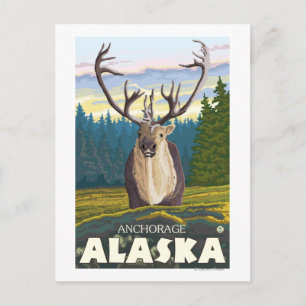 Caribou in the Wild - Anchorage, Alaska Postcard