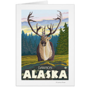 Caribou in the Wild - Dawson, Alaska